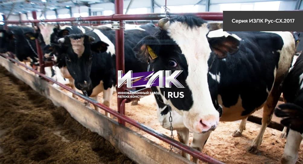 Основные виды коровников, эксплуатируемых животноводами Краснознаменска и региона